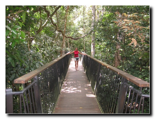 02 Regenwald Boardwalk
